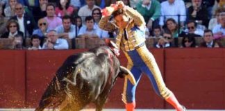 Paco Chaves banderilleando en La Maestranza. (FOTO:Sevilla Taurina.com)